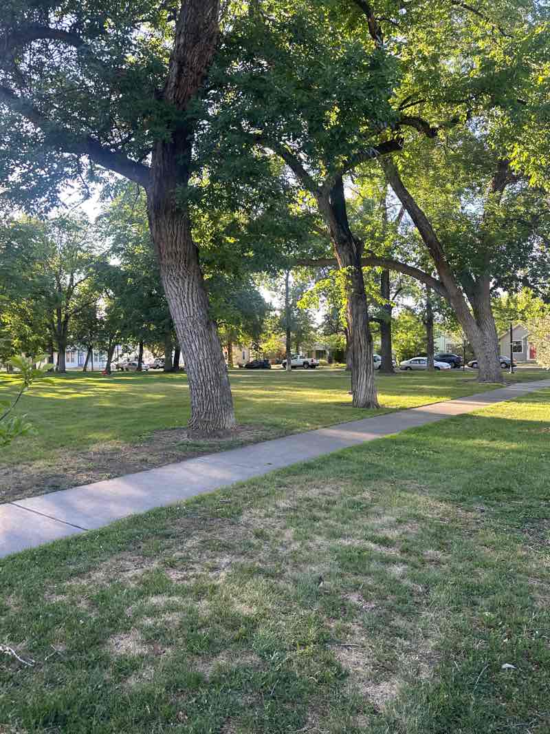 walking near me in Hawthorne Park in summer