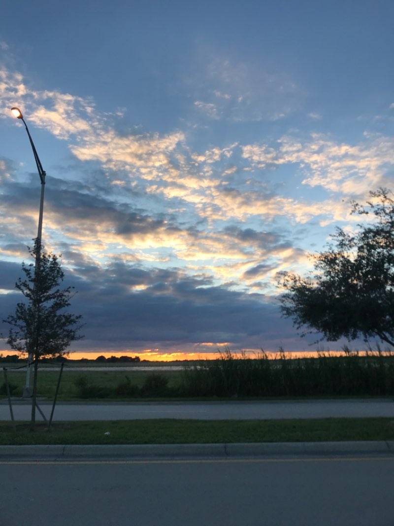 walking near me in Chuck Pezoldt Park in winter