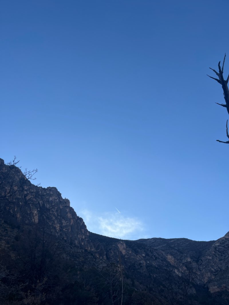 walking near me in Guadalupe Mountains National Park in winter