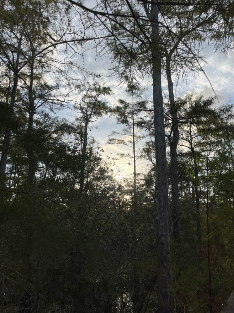 walking near me in Kirby Storter Roadside Park in winter
