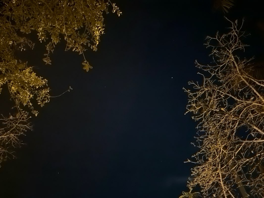 walking near me in Village Green in winter