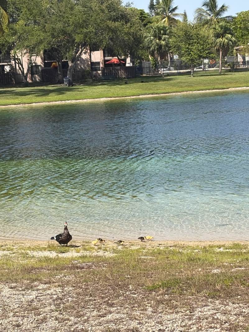 walking near me in The Women's Park in summer