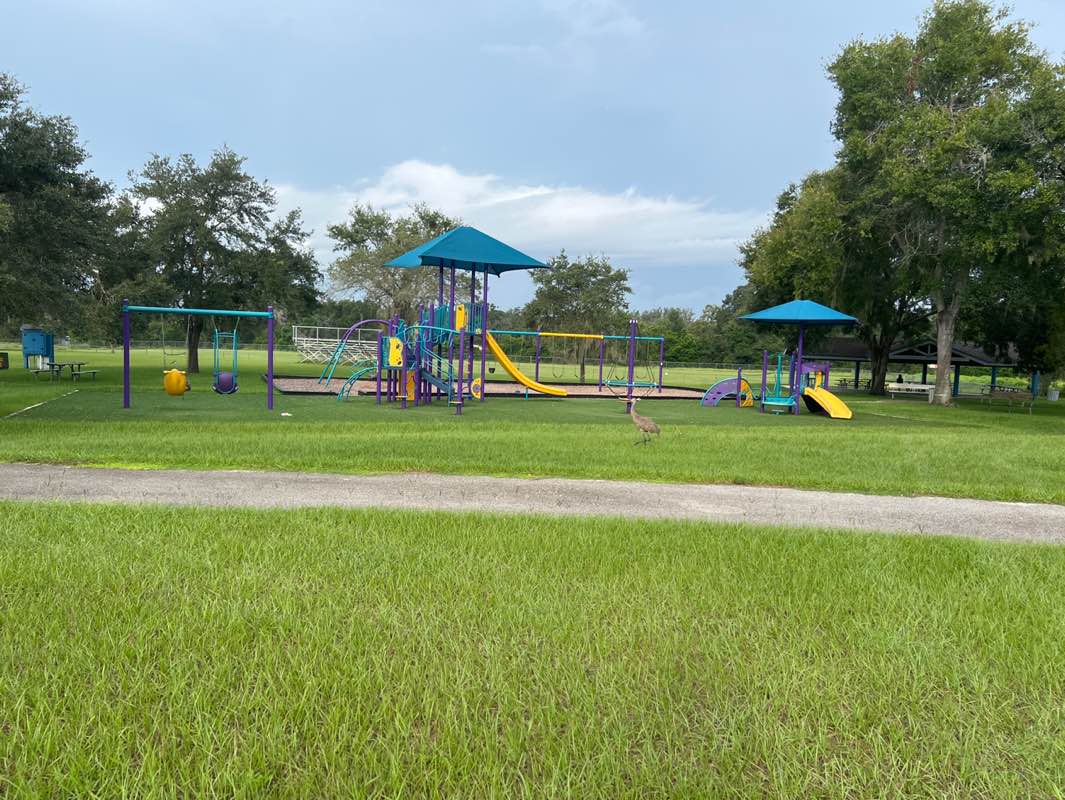 walking near me in Ridge Manor Community Park in autumn