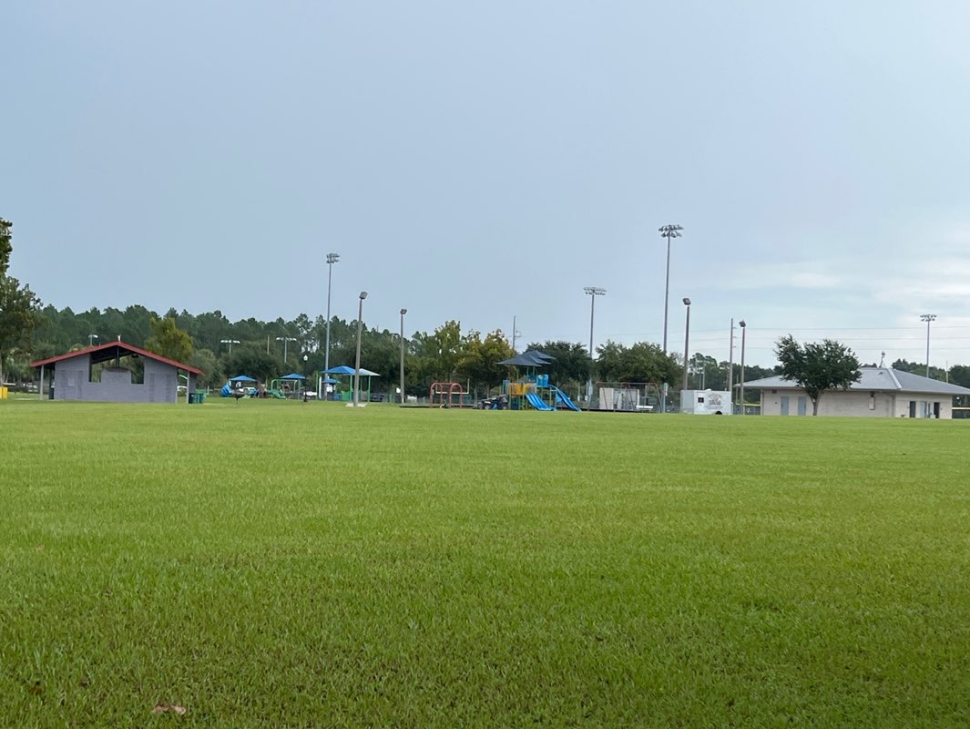 walking near me in Wesley Chapel District Park in autumn