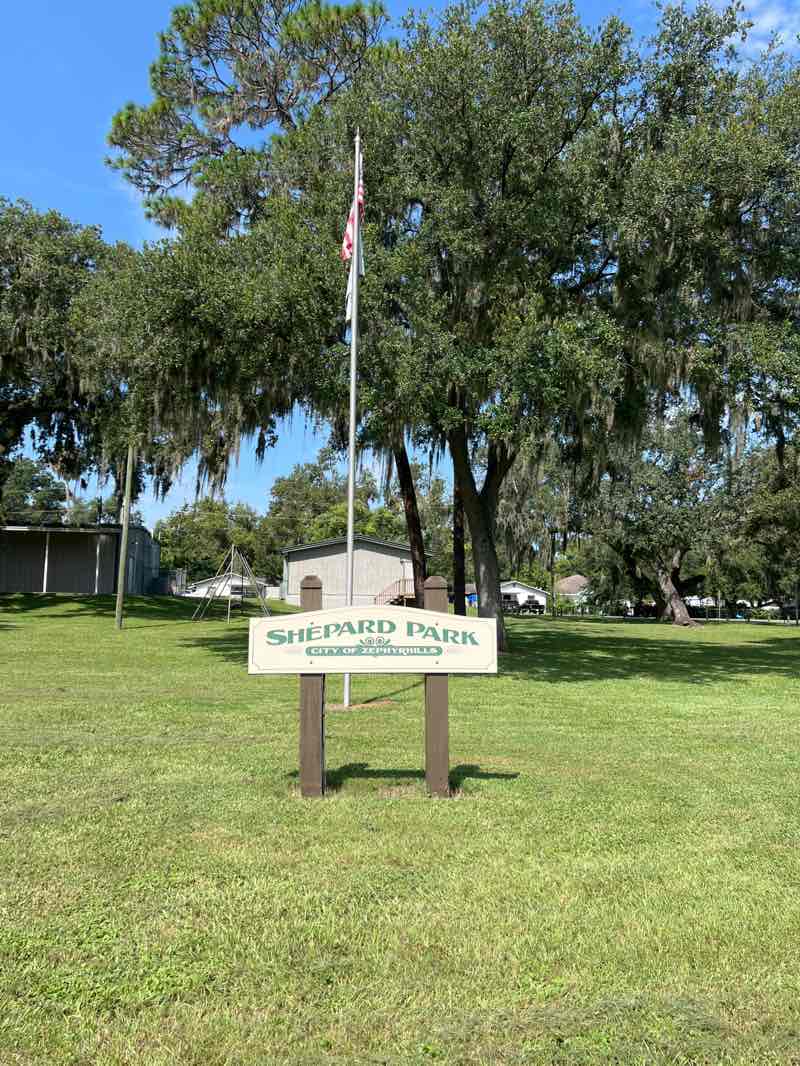 walking near me in Shepard Park in autumn