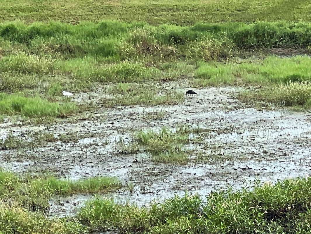 walking near me in Hospital Park in autumn