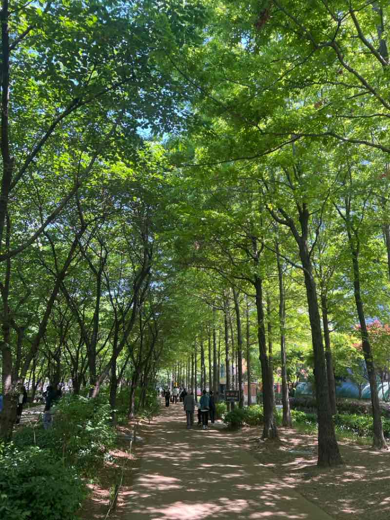 walking near me in 경의선숲길공원 in spring