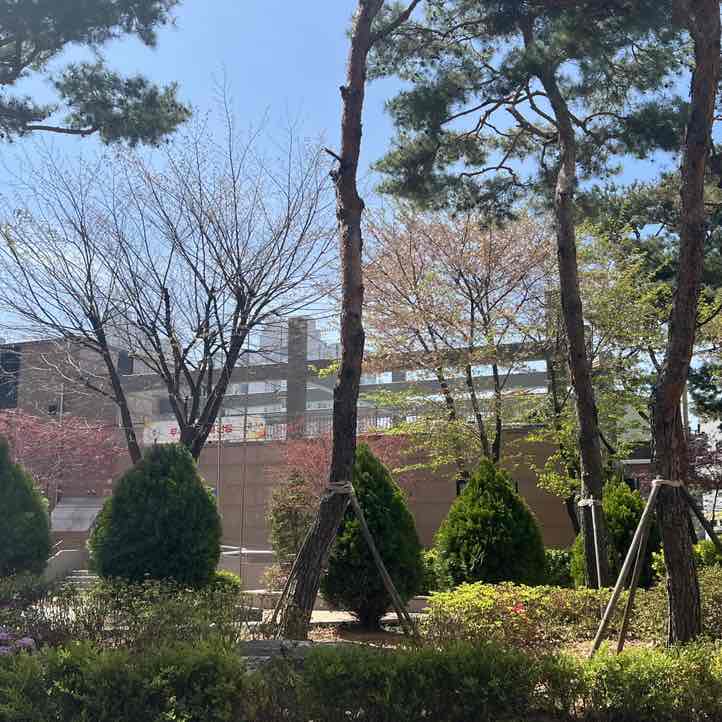 걸으면뭐라도된다 걸으면뭐라도된다 post image