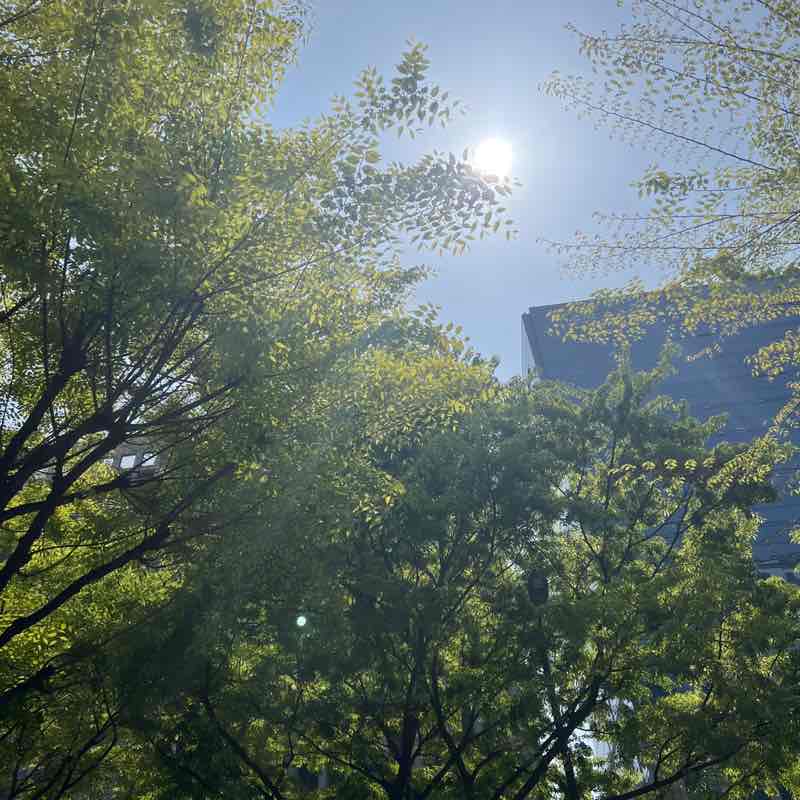 걸으면뭐라도된다 걸으면뭐라도된다 post image