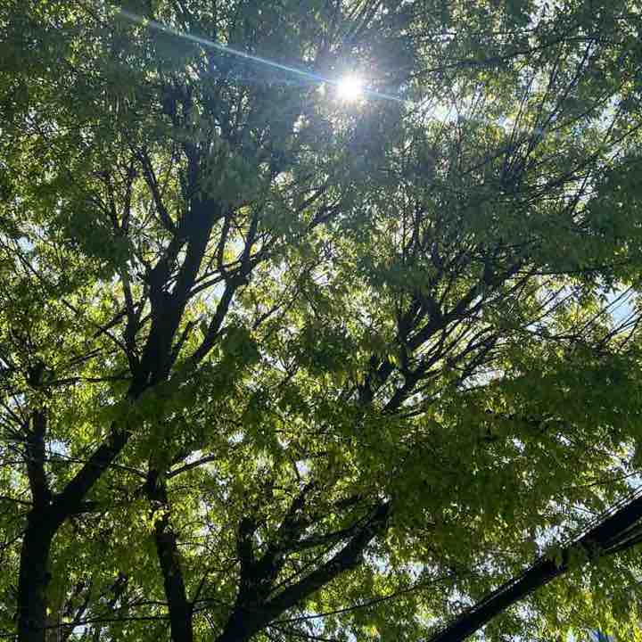 걸으면뭐라도된다 걸으면뭐라도된다 post image