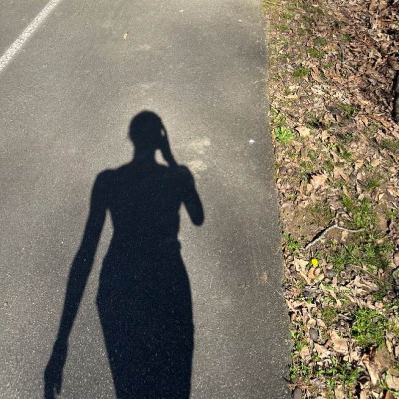 Silverstride