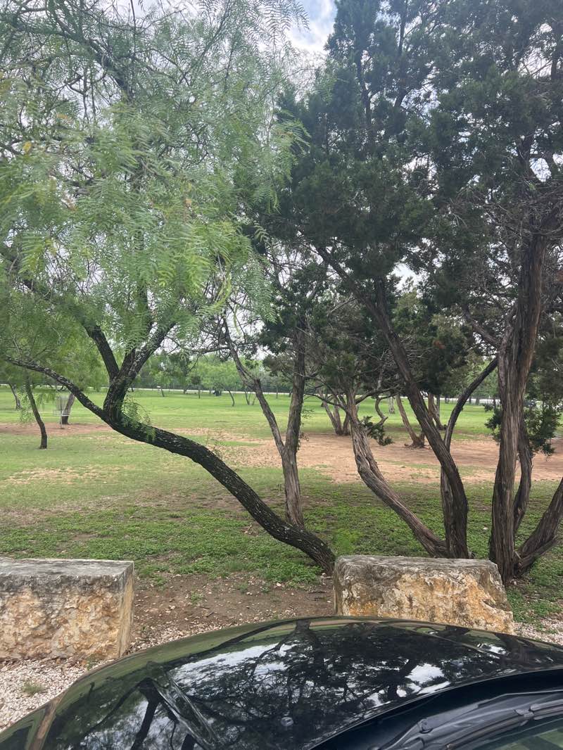walking near me in Helotes Natural Area and Disc Golf Course in spring