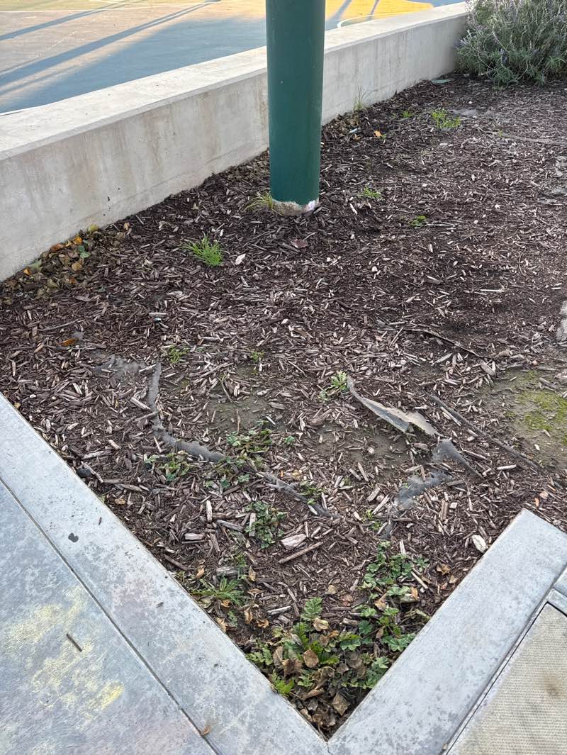 walking near me in Neel Park Pitch in winter