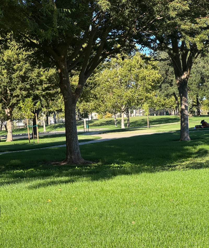 walking near me in Jones Park in autumn