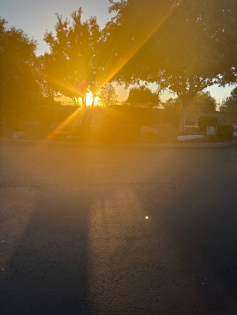 walking near me in Memorial Park in autumn