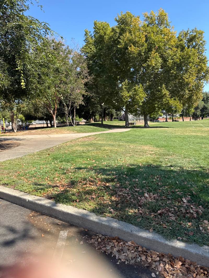 walking near me in James W. Wanish Park in autumn
