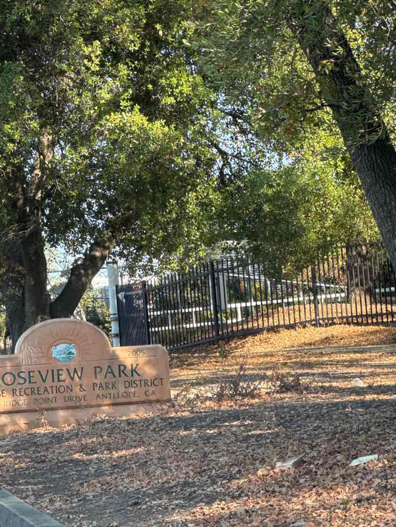 walking near me in Roseview Park in autumn