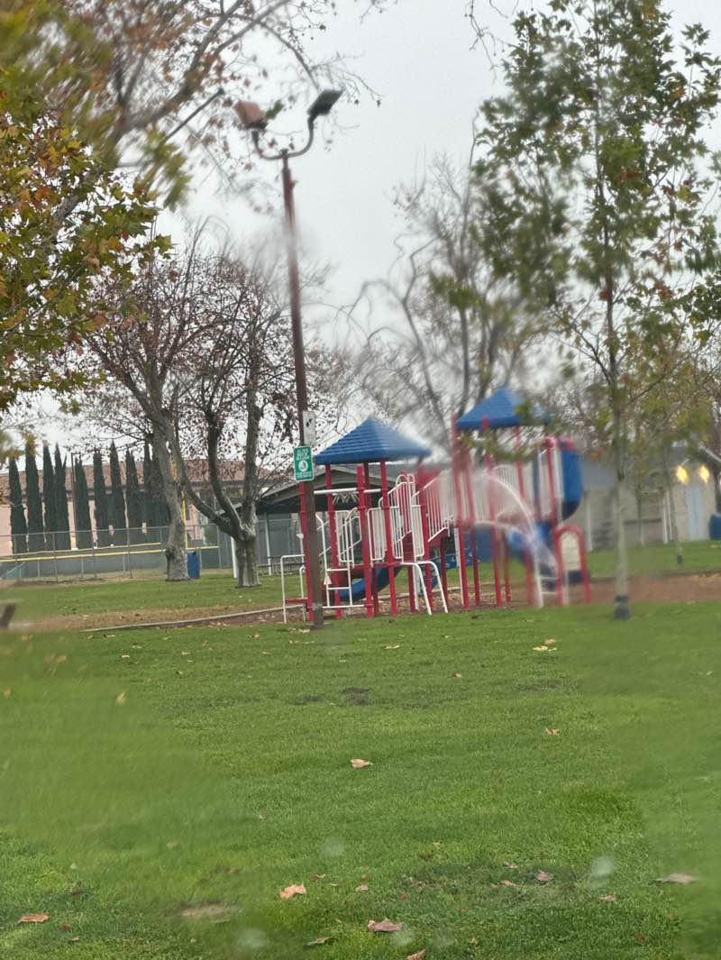 walking near me in Livingston Memorial Park in winter