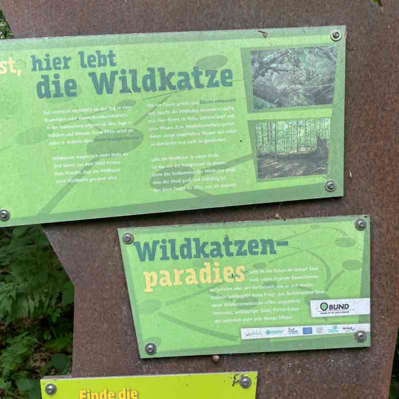 Einfach nur gehen Günther post image
