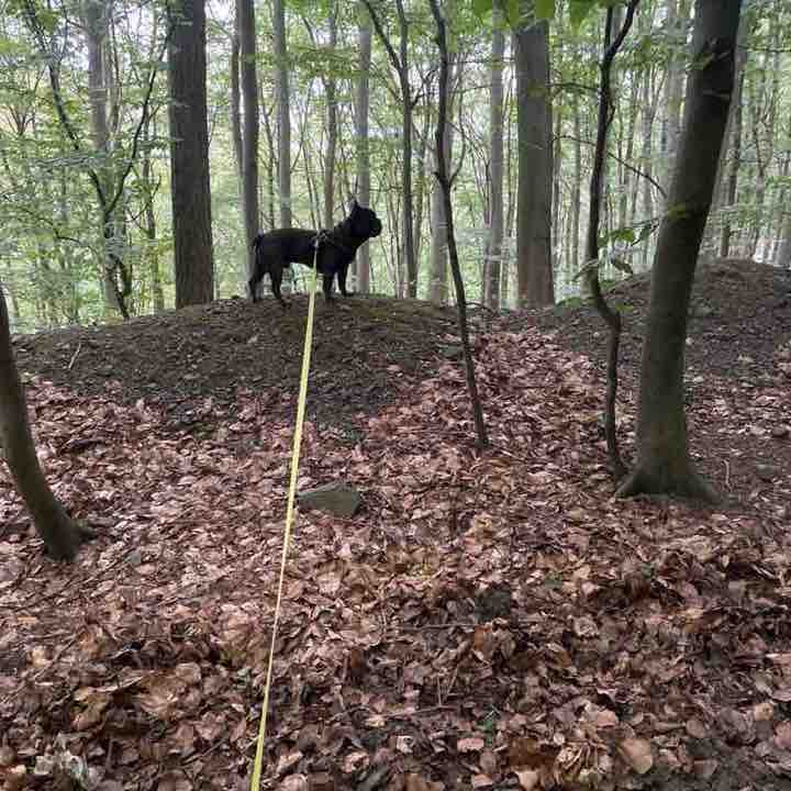 Einfach nur gehen Günther post image