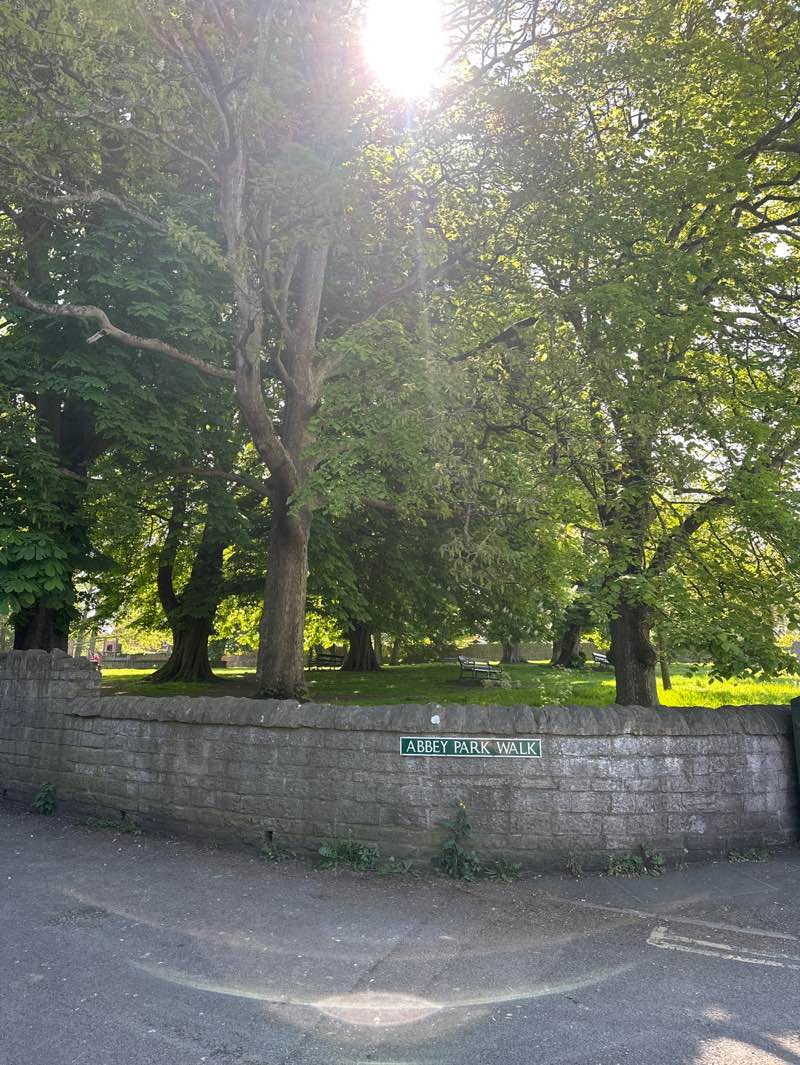walking near me in Abbey Park in spring