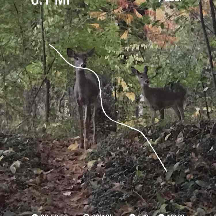 Minuteman Trail post 1