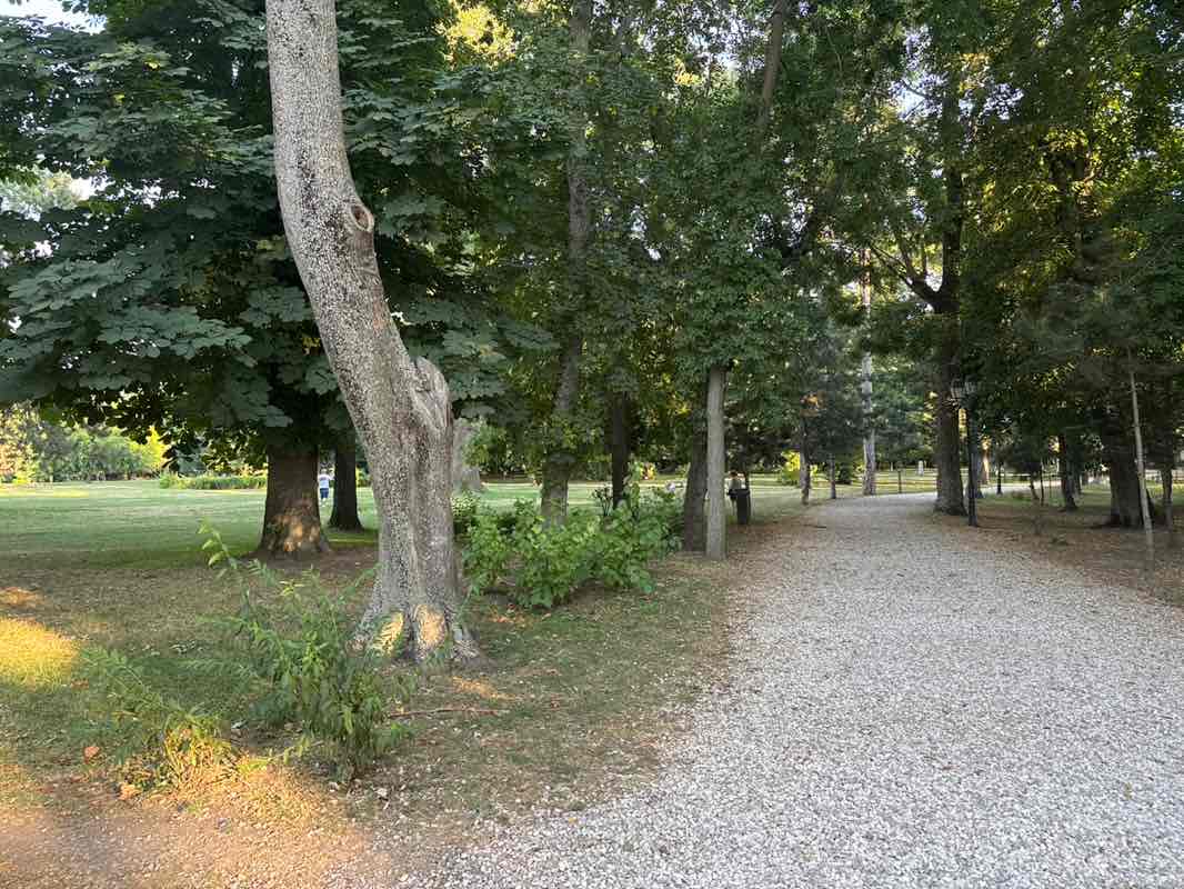 walking near me in Parcul Mogoșoaia in summer