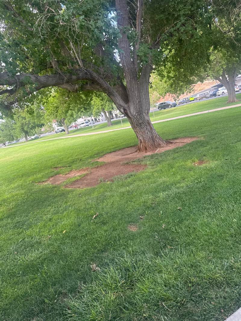 walking near me in Sandtown Park in summer
