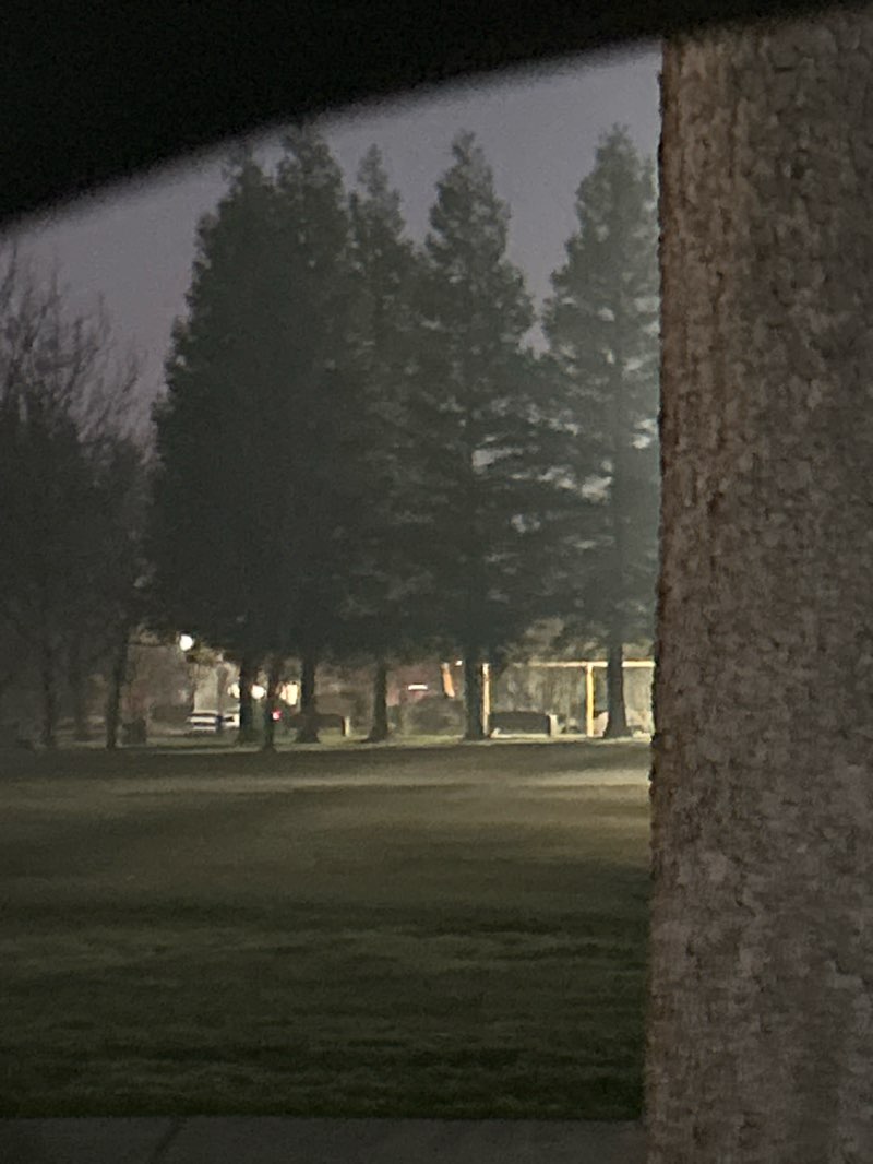 walking near me in Dale Pinkney Park in winter