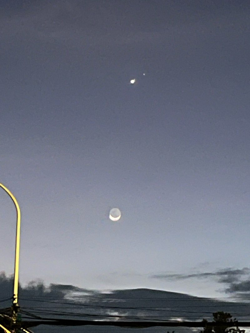 walking near me in Peace Park in autumn