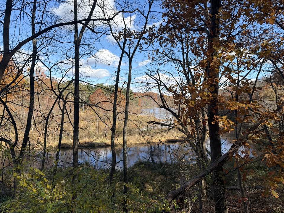 walking near me in North Park in autumn