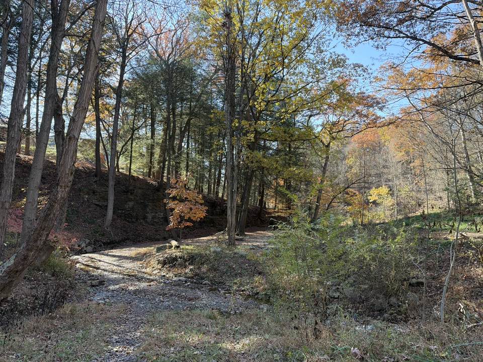 walking near me in Fall Run Park in autumn