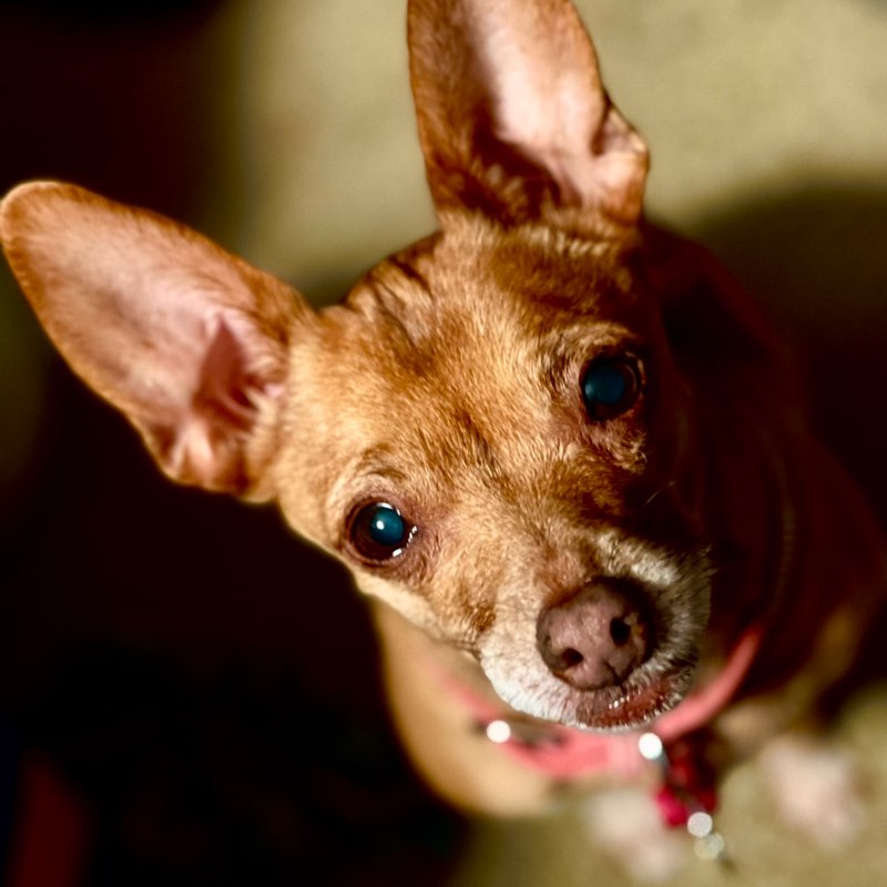 Junebug post 1