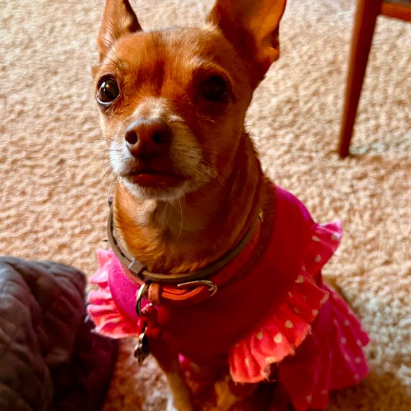 🌿SPRING VIEWS🌿 Junebug post image