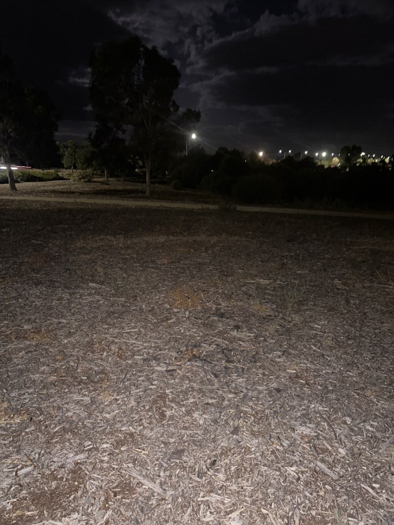 walking near me in Dunrobin Park in summer