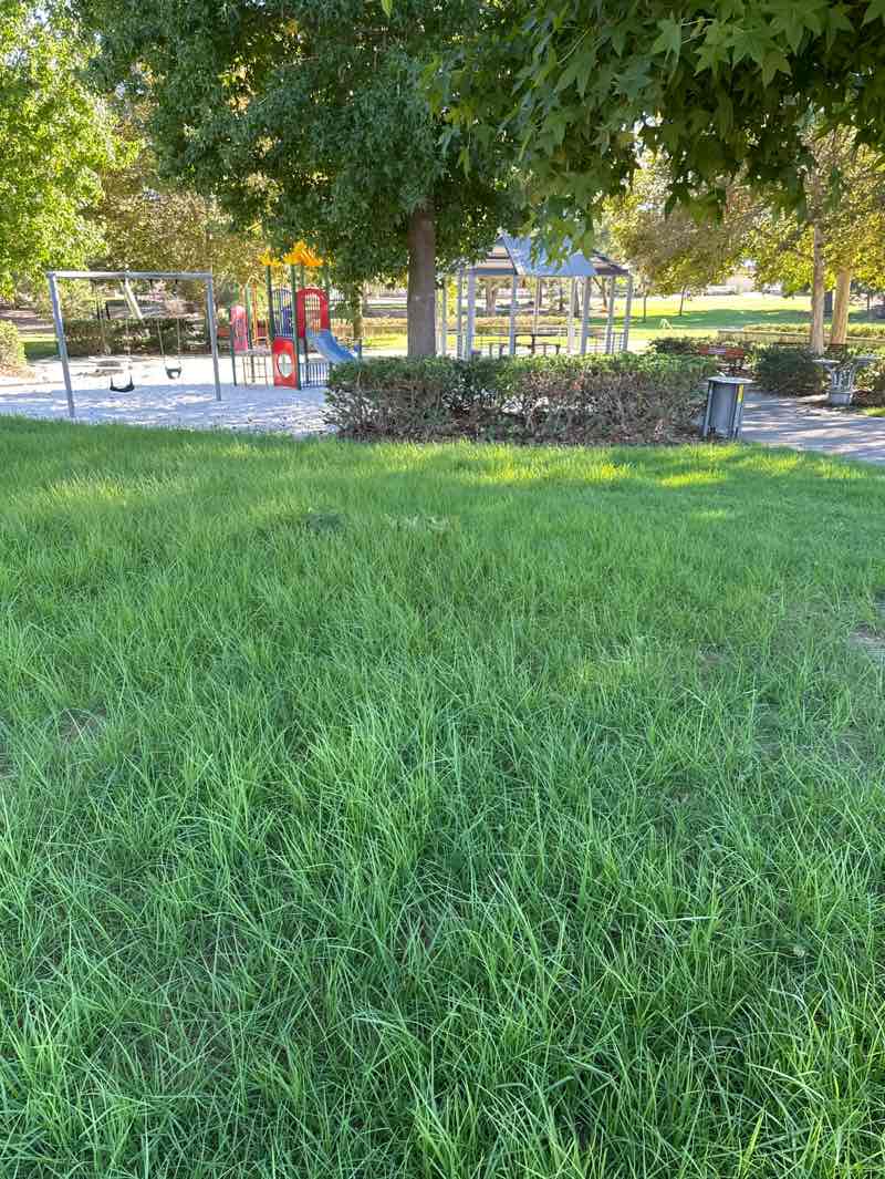 walking near me in Halpin Park in summer