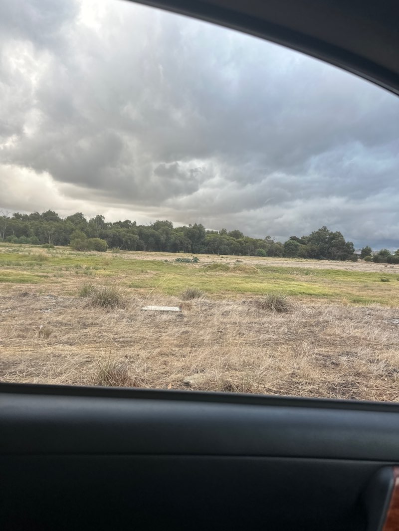 walking near me in Park/bush in autumn