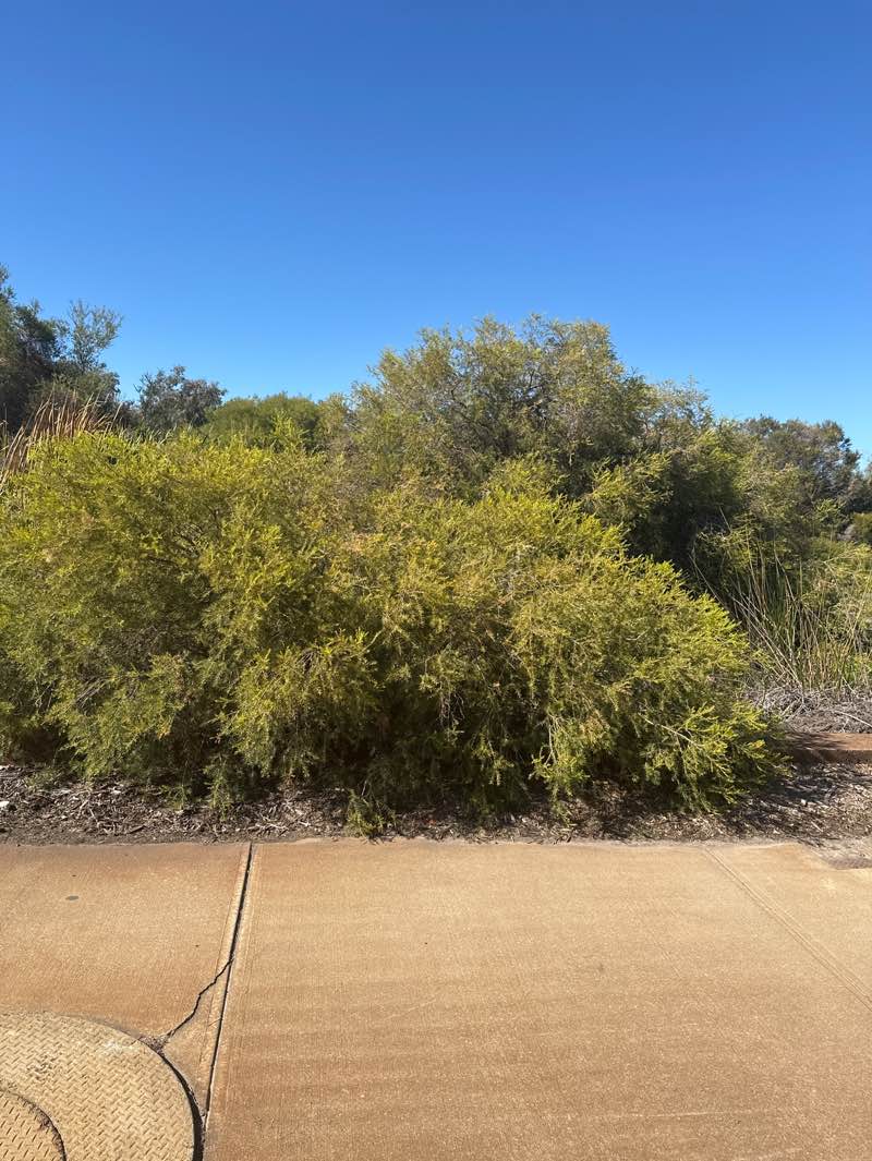 walking near me in Walter Day Park in summer
