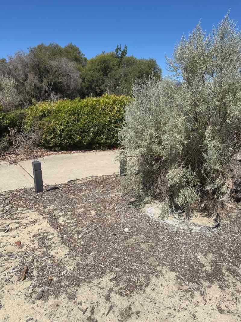 walking near me in Watercress Park in autumn
