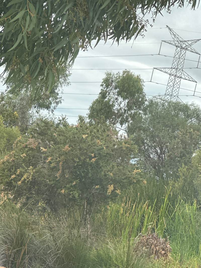 walking near me in Cobalt Park in autumn