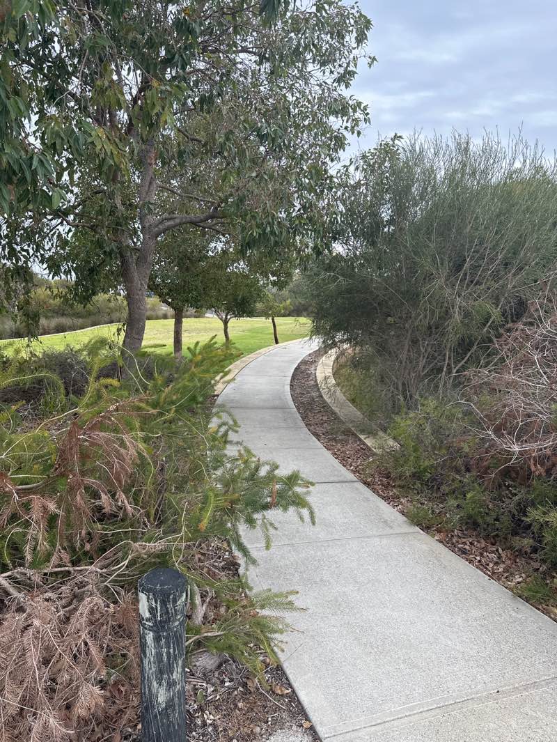 walking near me in Portola Park in winter