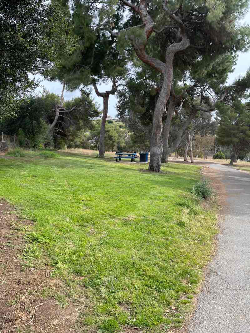 walking near me in Highwood Park in spring