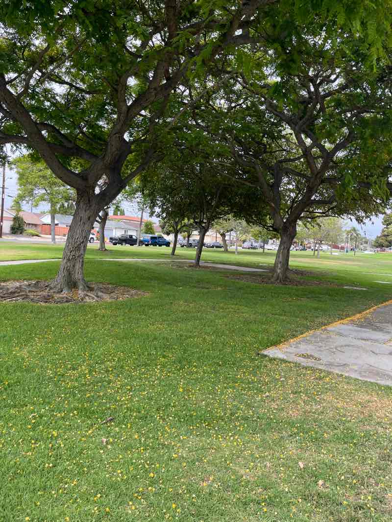walking near me in El Toyon Park in spring