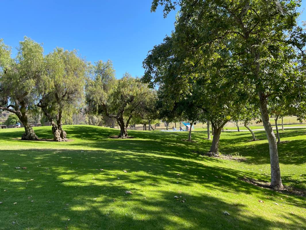 walking near me in Rohr Park in summer