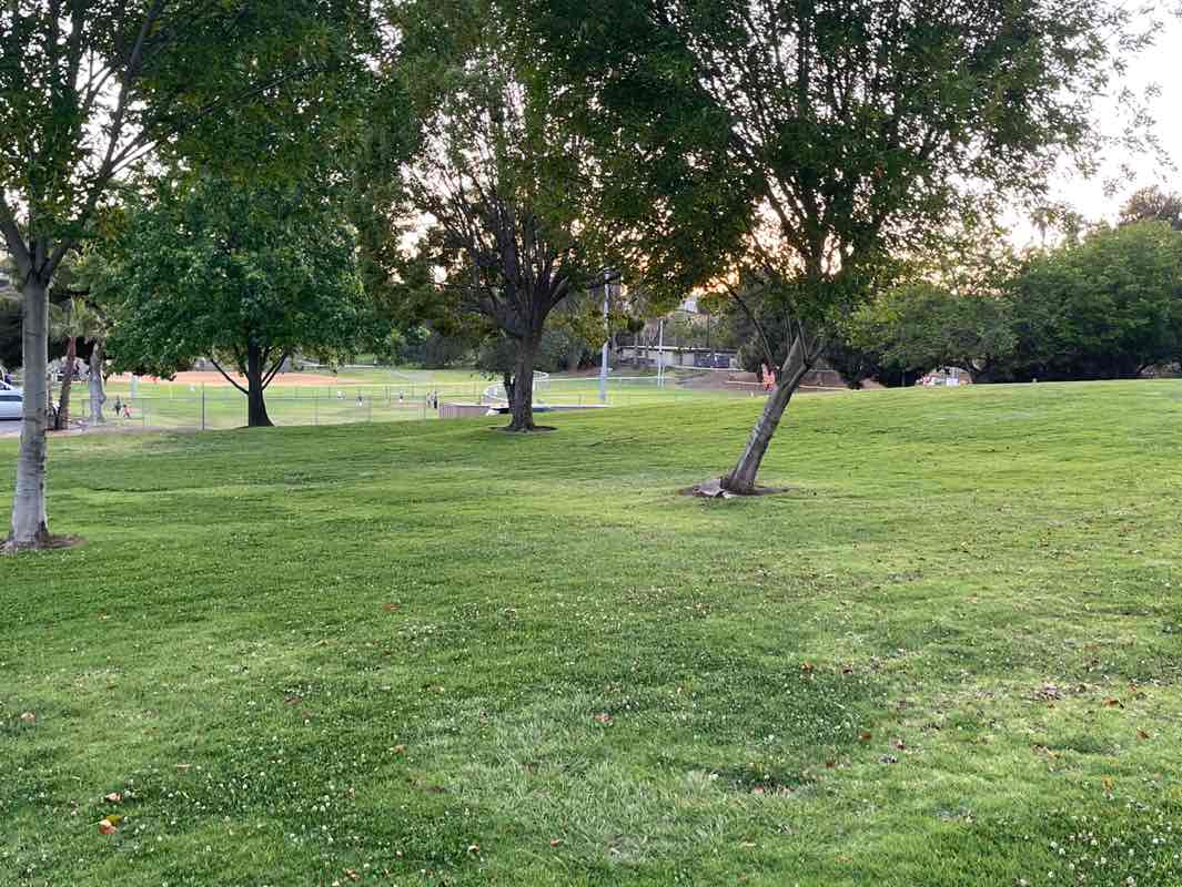 walking near me in Las Palmas Park in spring
