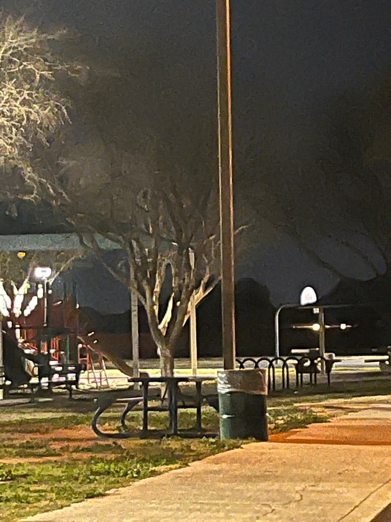 walking near me in Desert Mirage Park in winter