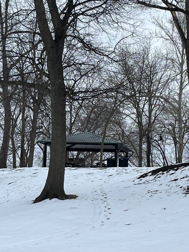 walking near me in Renner Brenner Park in winter