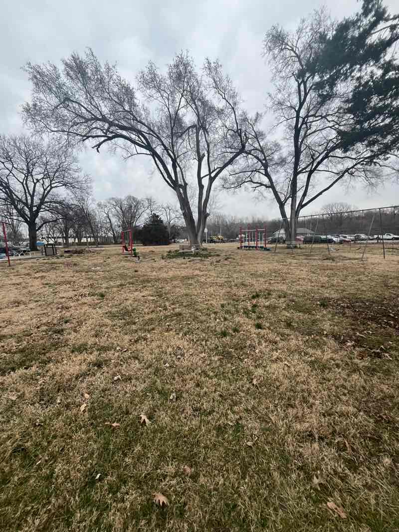 walking near me in Tracy City Park in spring