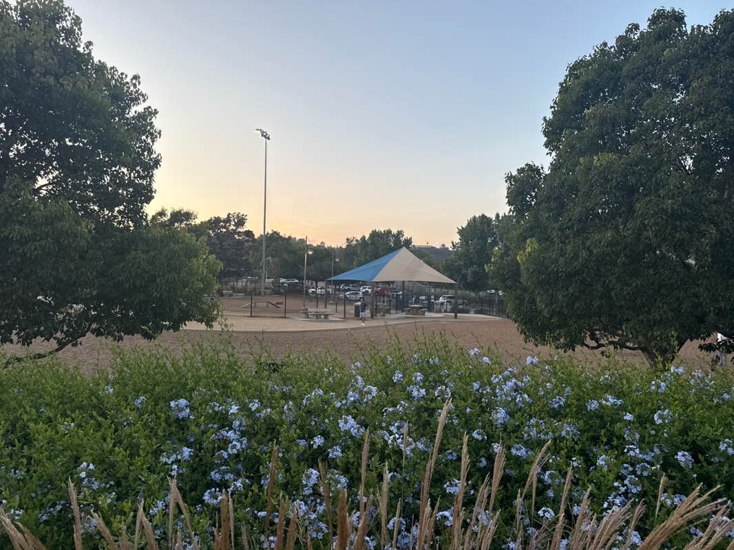 walking near me in Alga Norte Community Park in autumn