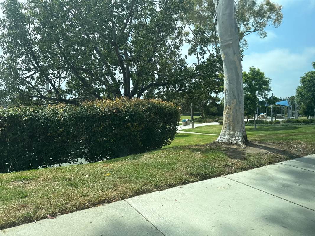 walking near me in Calavera Park in autumn
